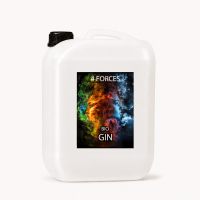 4 FORCES Gin Bio 10L 37,5%