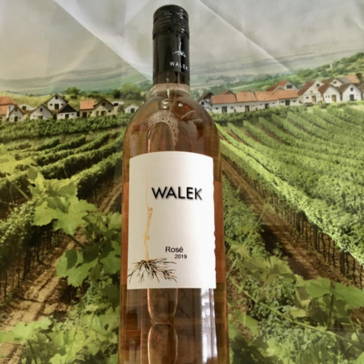 Rosé [Zweigelt] - Weingut Walek - Bauernladen