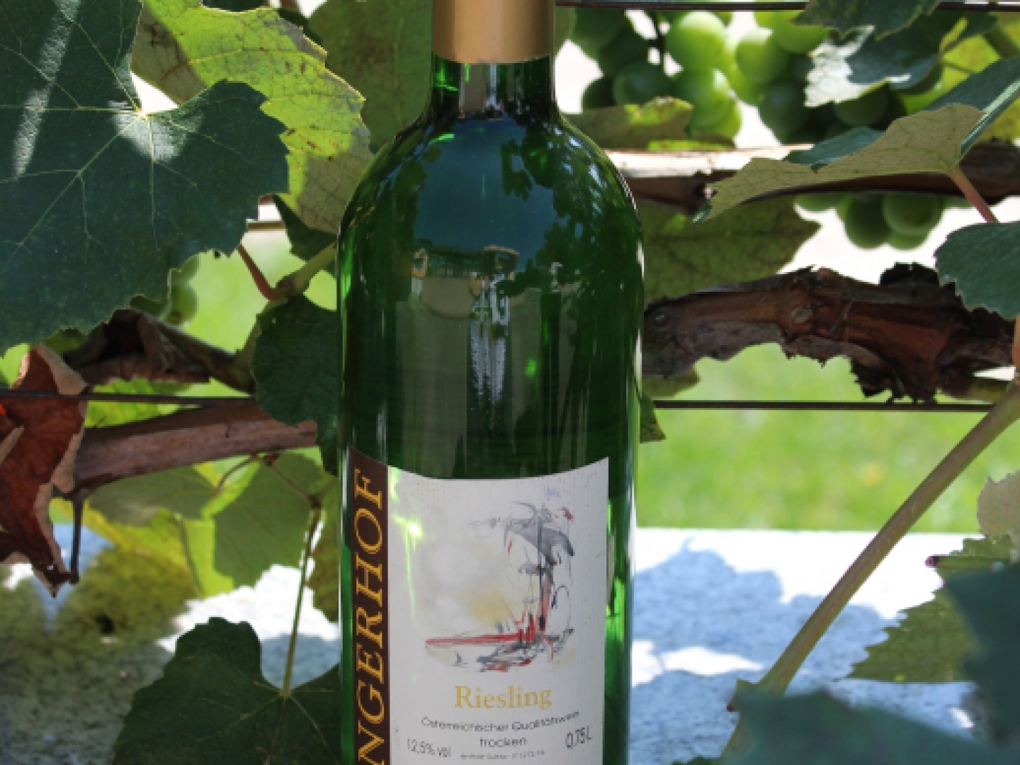 Riesling Weingut Angerhof Bauernladen