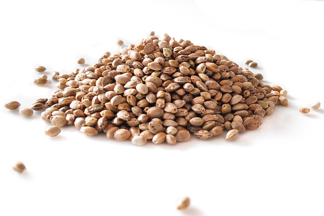 Hanfsamen ungeschält Poyerhof Bauernladen