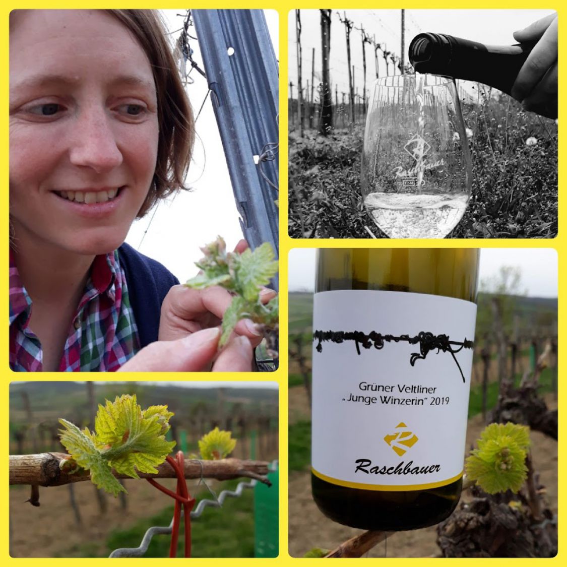 &amp;quot;Winzerin&amp;quot; - Weinbau Raschbauer - Bauernladen