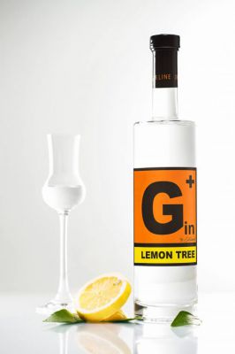 G+ – LEMON TREE GIN