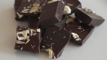Langenloiser-Austernpilzschokolade