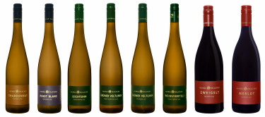 6er Kostpaket: Leichtsinn, Grüner Veltliner Stixenkreuter Salonwein, Weinviertel DAC, Sauvignon Blanc Wildwuchs, Weißburgunder Premium und Zweigelt