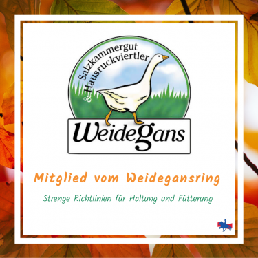 Österreichische Weidegans