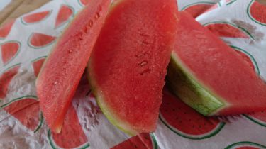 unsere Mini-Wassermelonen - fertig zum Genießen