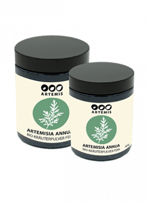 Kräuterpulver Artemisia annua