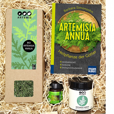 Geschenkbox Artemisia annua klein
