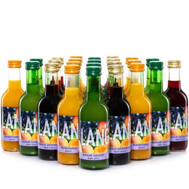 Buntes Saftpaket aus 24 Flaschen zu je 250 ml. 3 verschiedene Sorten.