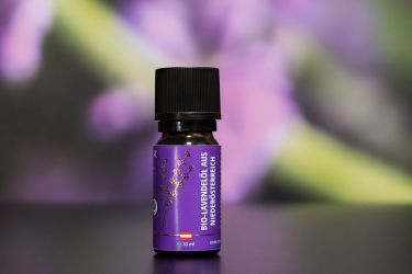 BIO Lavendelöl, regional produziert von Lavendelfeldern aus dem Wein- und Waldviertel