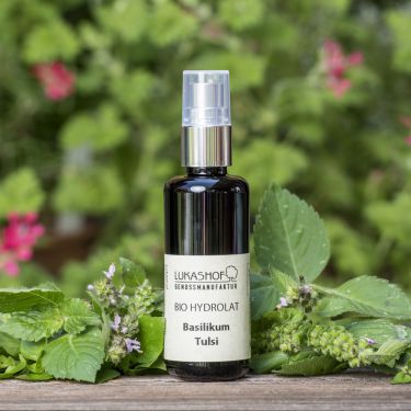 Basilikum Tulsi-Hydrolat Bio 50ml