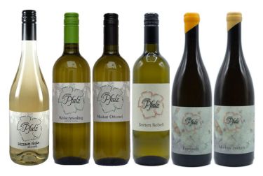 Probierpaket #entdeckerbox