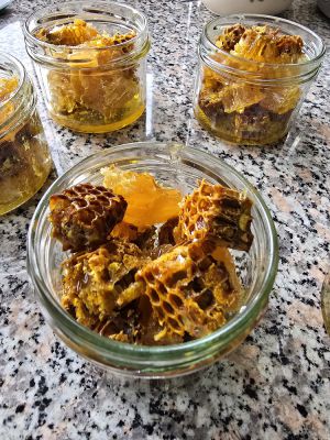 Bienenbrot mit Wabenhonig