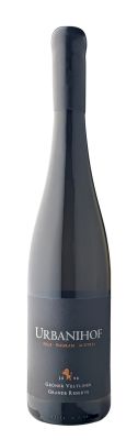 Wagram DAC Grüner Veltliner Grande Reserve Bio Ried Dorner 2021