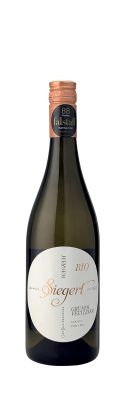 Wagram DAC Grüner Veltliner Classic vom Löss 2025