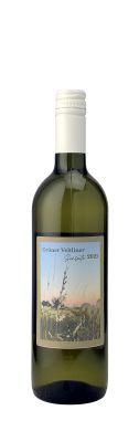 Grüner Veltliner Sunseitn 2025