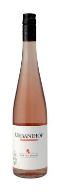 Rosé vom Merlot 2025