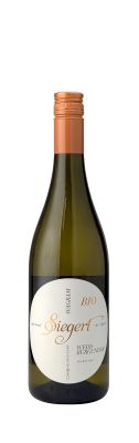 Wagram DAC Weißburgunder Selection 2025